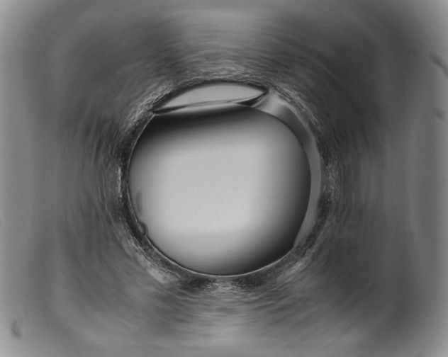 X0000099430589200805231655