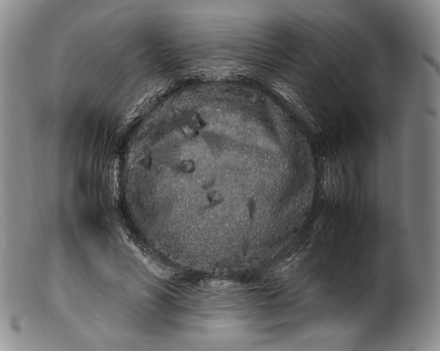 X0000099430590200805231655