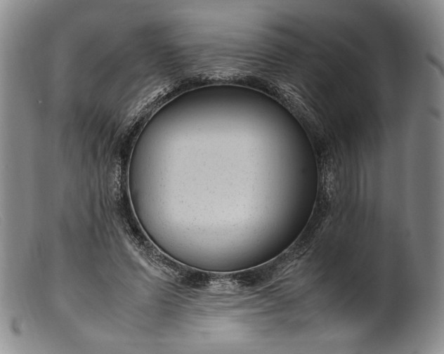 X0000099430591200805231655