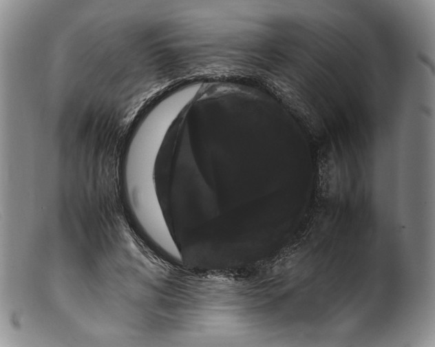 X0000099430592200805231655