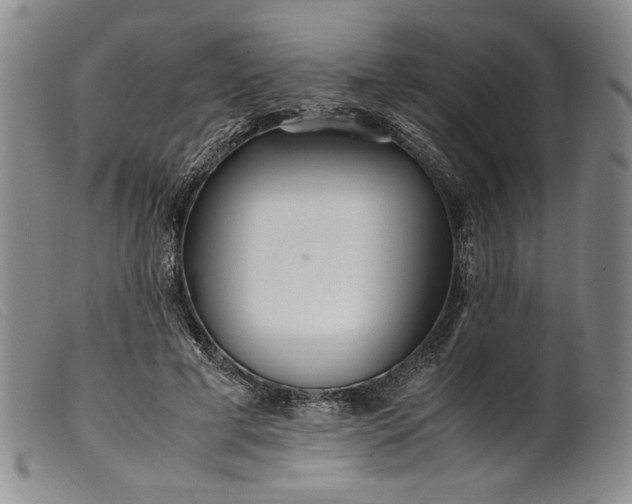 X0000099430593200805231655