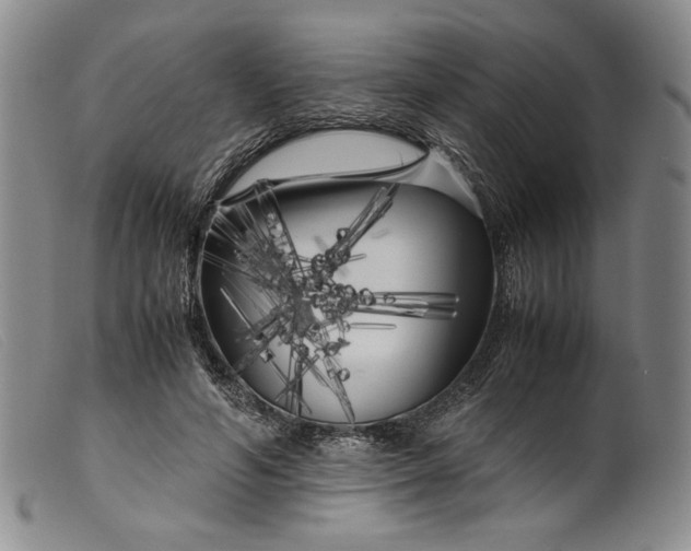 X0000099430594200805231655