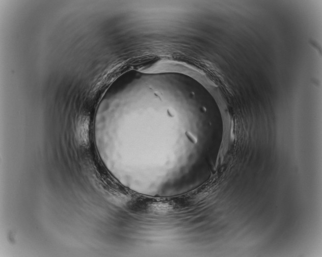 X0000099430596200805231655
