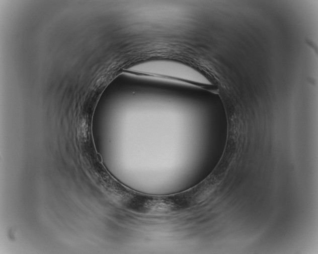 X0000099430597200805231655