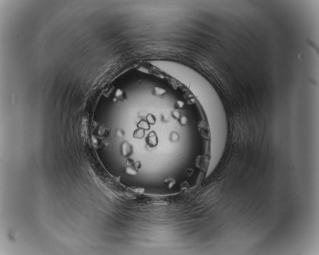 X0000099430598200805231655