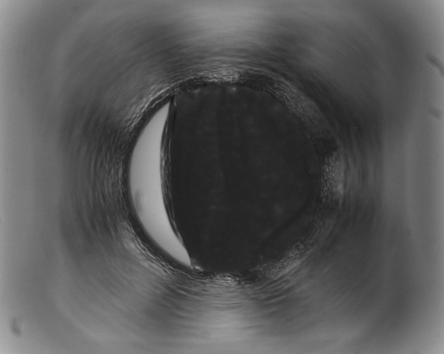 X0000099430600200805231655