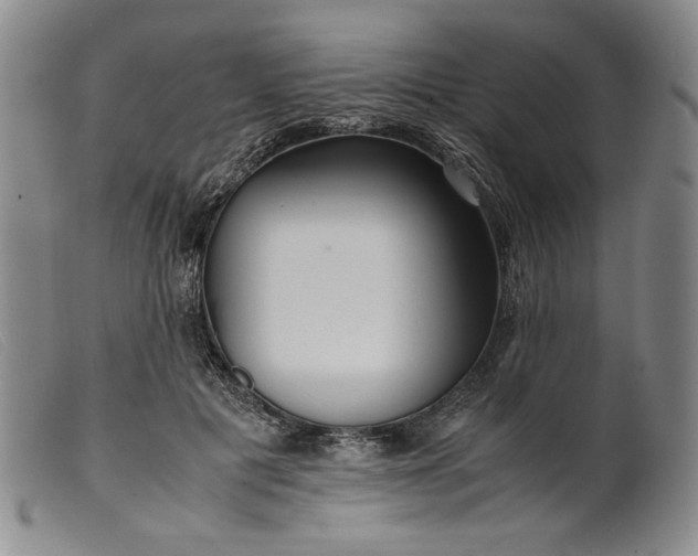 X0000099430601200805231655