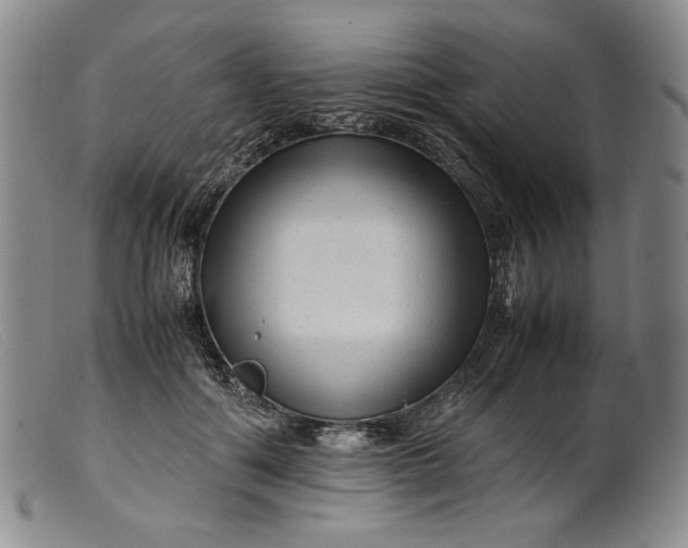 X0000099430602200805231655