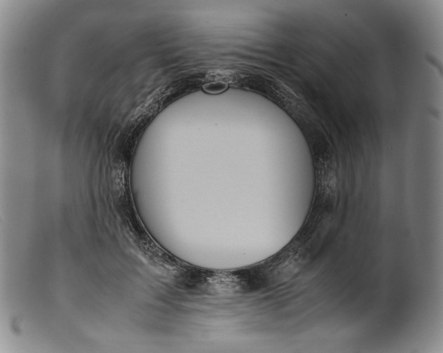 X0000099430603200805231655