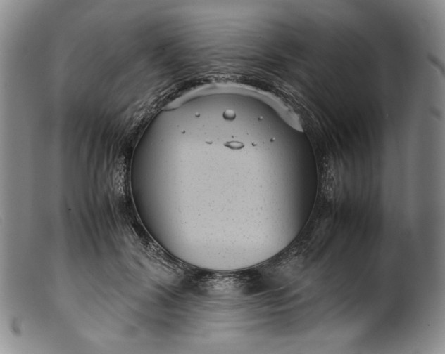 X0000099430604200805231655