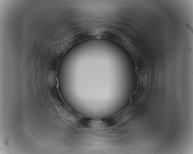 X0000099430605200805231655