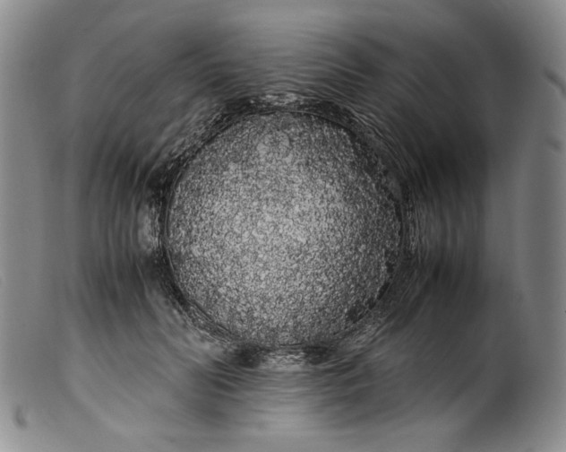 X0000099430606200805231655