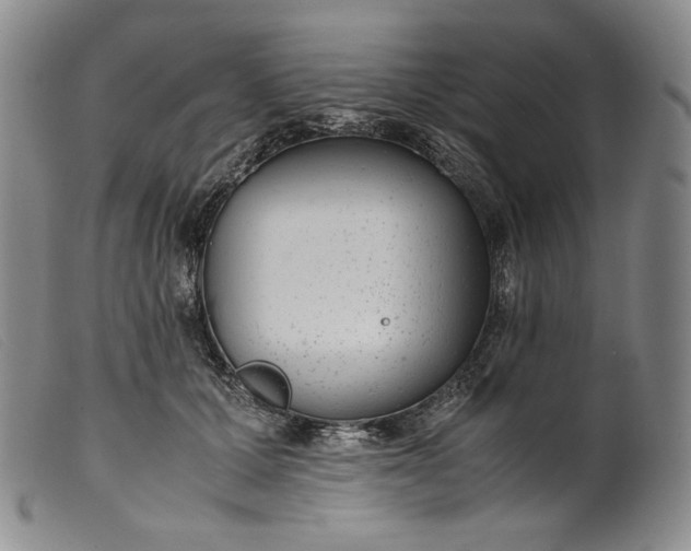 X0000099430607200805231655