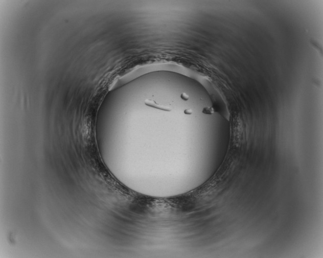 X0000099430608200805231655
