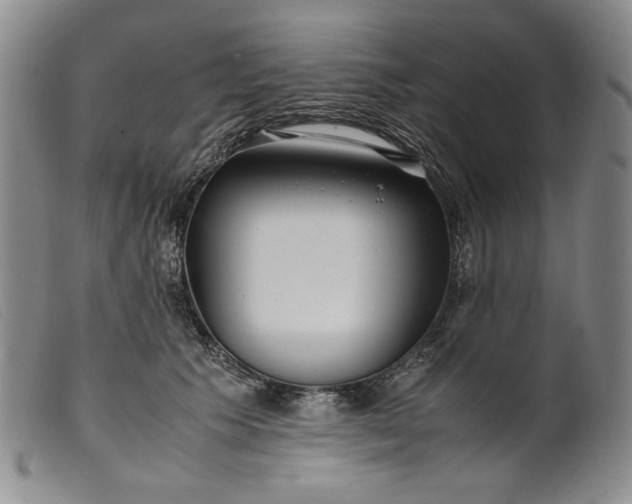 X0000099430609200805231655