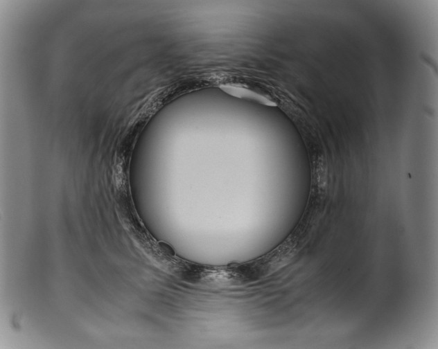X0000099430611200805231655