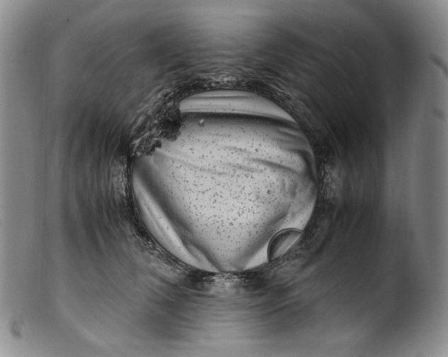 X0000099430612200805231655