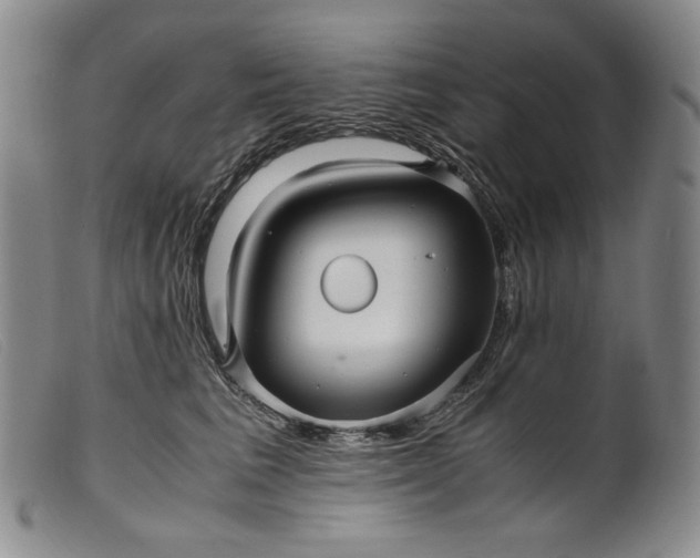 X0000099430613200805231655