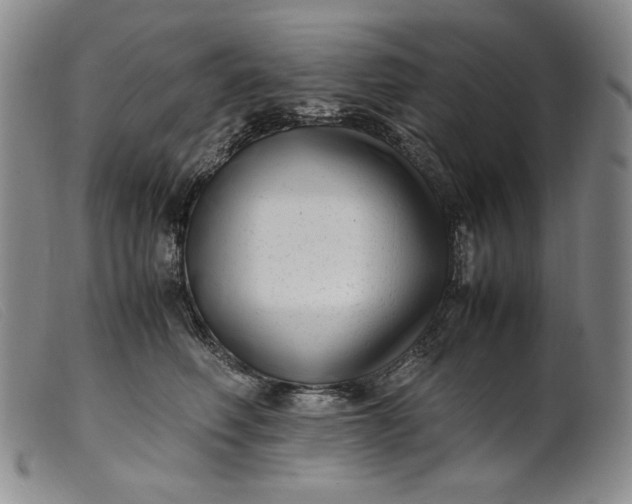 X0000099430614200805231655
