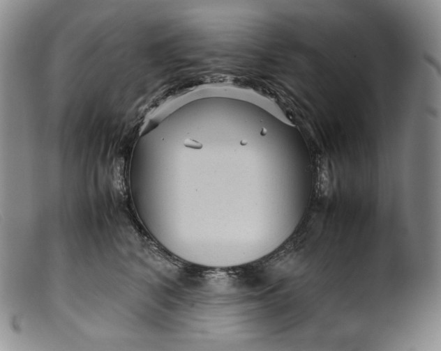 X0000099430616200805231655
