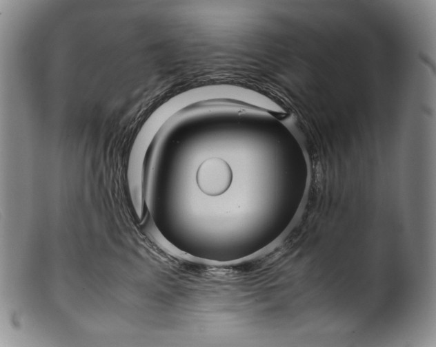 X0000099430617200805231655