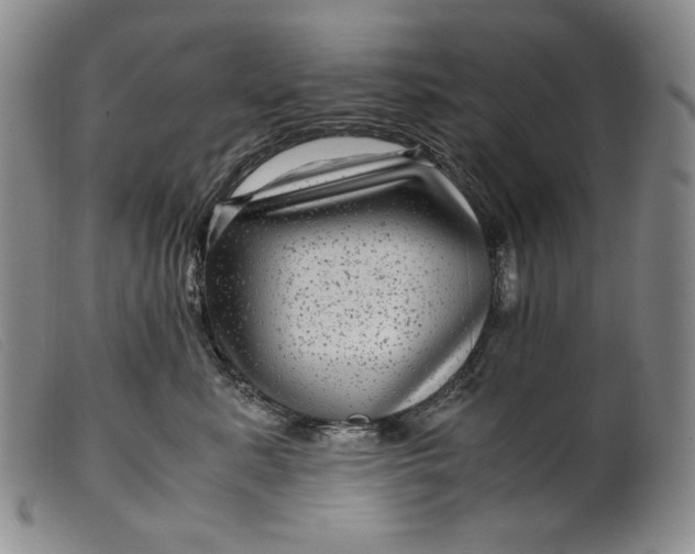 X0000099430619200805231654