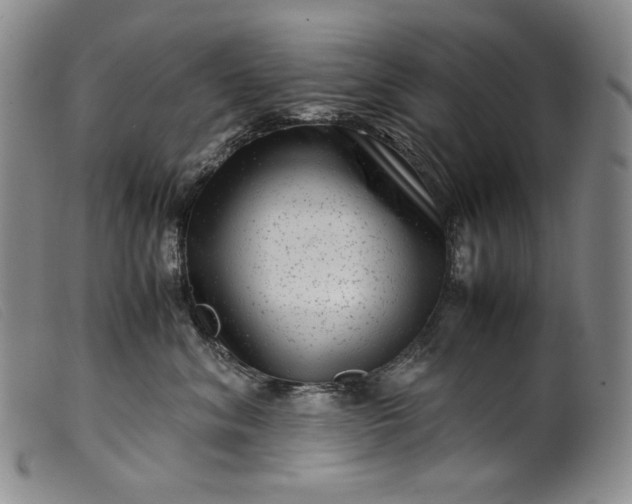 X0000099430620200805231654