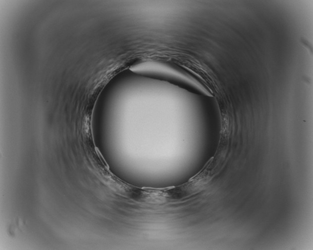 X0000099430621200805231654