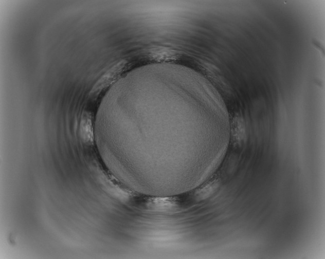 X0000099430622200805231654