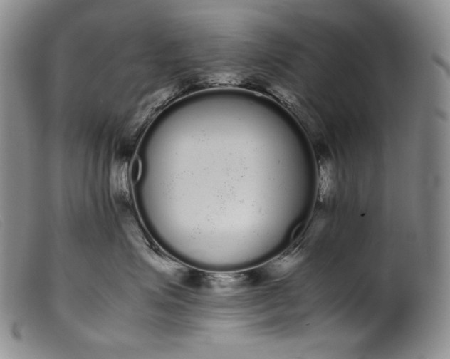 X0000099430623200805231654