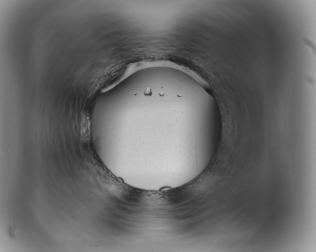 X0000099430624200805231654