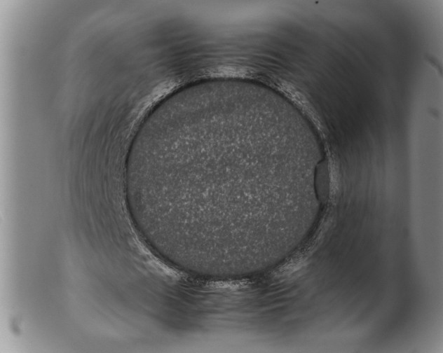 X0000099430625200805231654