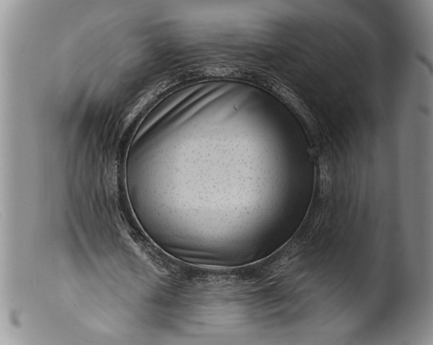 X0000099430626200805231654