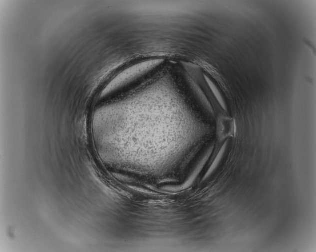 X0000099430627200805231654