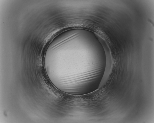 X0000099430628200805231654