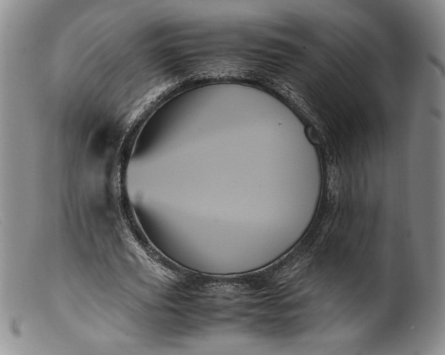 X0000099430629200805231654
