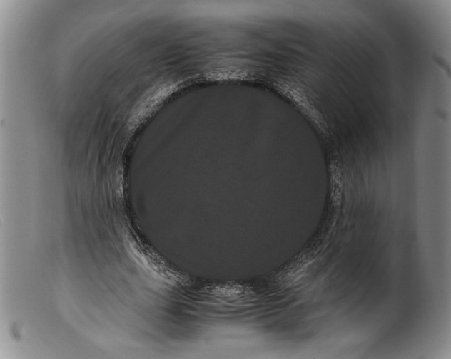 X0000099430631200805231654