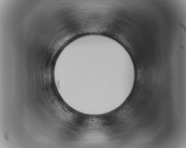 X0000099430632200805231654
