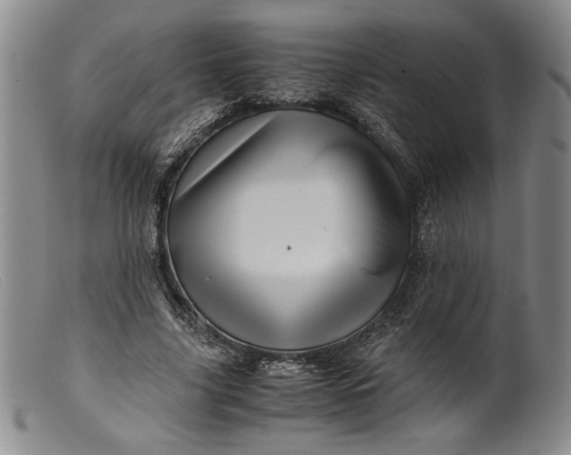 X0000099430635200805231654