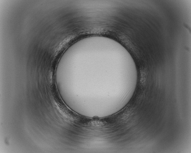 X0000099430636200805231654