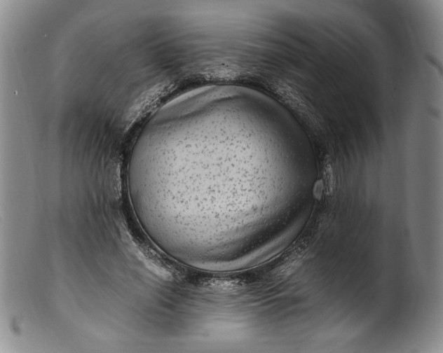 X0000099430638200805231654