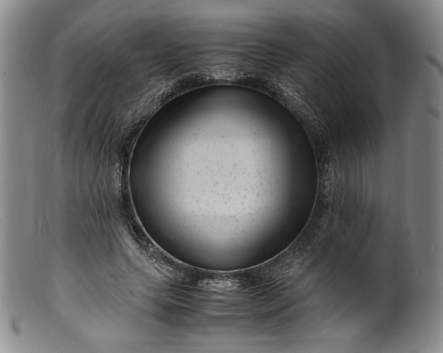 X0000099430639200805231654