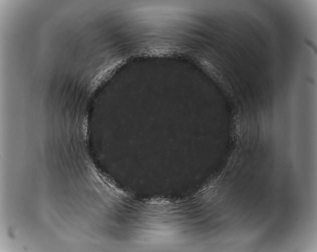 X0000099430640200805231654