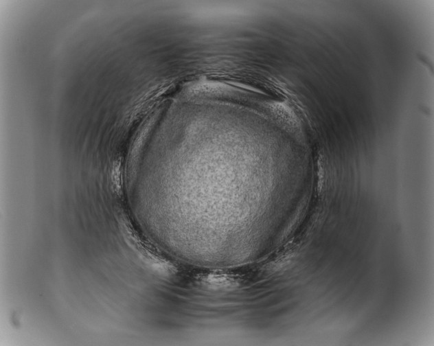 X0000099430641200805231654
