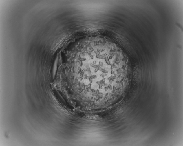 X0000099430642200805231654