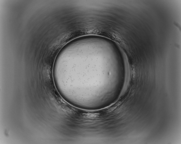 X0000099430643200805231654