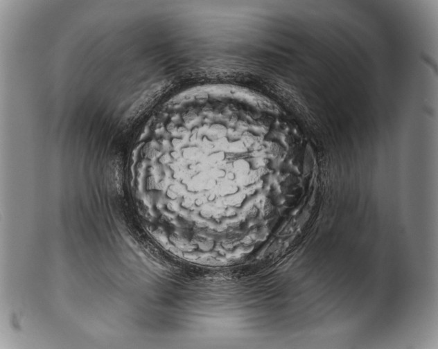 X0000099430644200805231654
