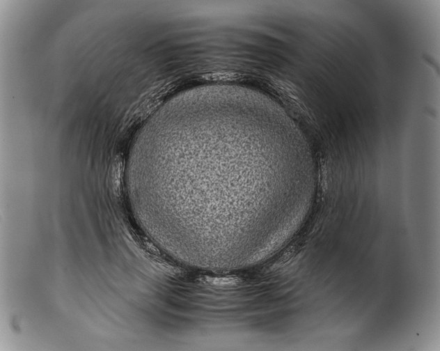 X0000099430645200805231654