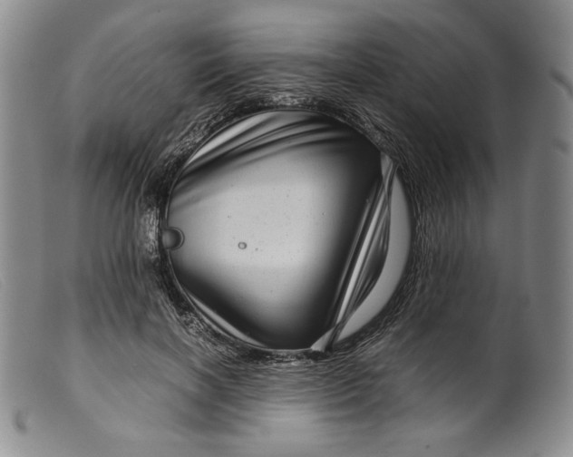 X0000099430646200805231654