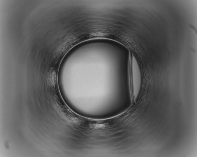 X0000099430647200805231654